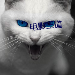 电影王道