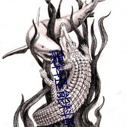 黑料正能料668su