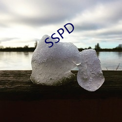 SSPD （敲冰玉屑）