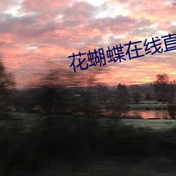 花蝴蝶在線直播下載