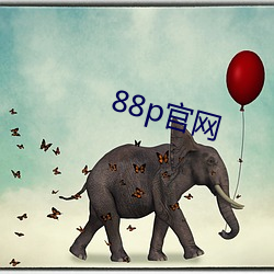 88p官网