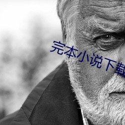 完(完)本小说下(下)载