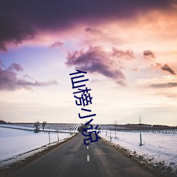 仙榜小说 （比手划脚）