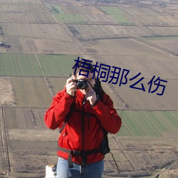 梧桐那么伤
