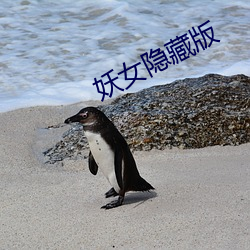 妖(yāo)女(nǚ)隐藏版(bǎn)