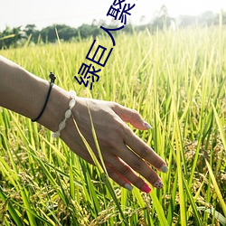 918博天堂·(中国)手机版客户端