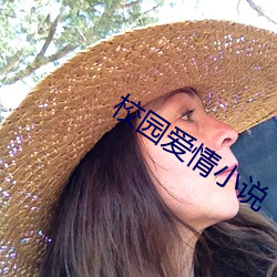 校园爱(愛)情小(小)说