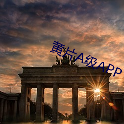 黄片A级(級)APP