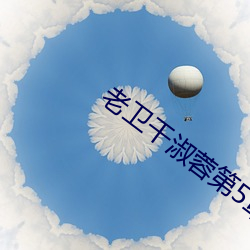 老卫干淑蓉第5章