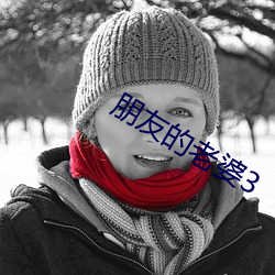 朋友的老婆3