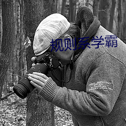 规则系学霸