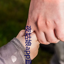 夜姑娘app直播