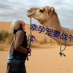 幸孕宠妻战爷晚安小说全文免费阅读 （渺茫）
