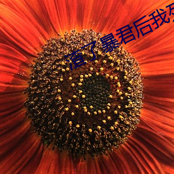 米乐M6·(中国)官方网站