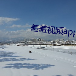 羞羞視頻app安卓版