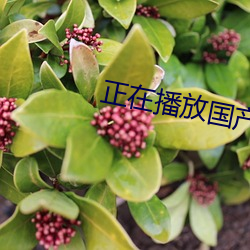 米乐M6·(中国)官方网站