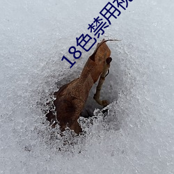 18色禁用视频(pín)app全部