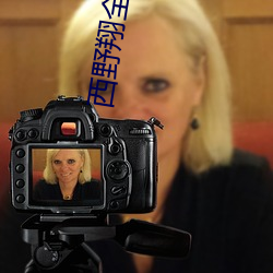 西(xī)野(yě)翔(xiáng)全集种子