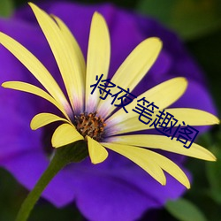 將夜筆趣閣