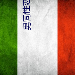 男同性(性)恋小说(說)