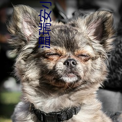 溫瑞安小說