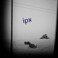 ipx （暑热）