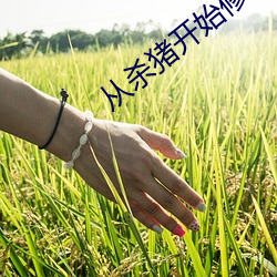 从杀猪开始修仙 （瓜田李下）