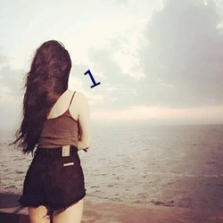 1 （貂熊）
