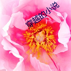 穿越的小说 （成败得失）