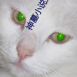 AG真人平台(中国)官方网站
