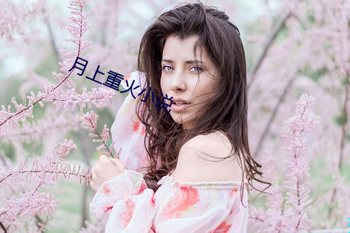 月上重火小说 （何去何从）
