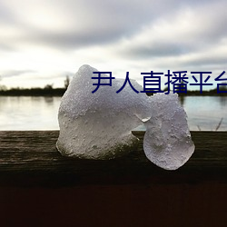 尹人直播平台