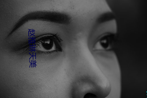 赵(趙)雅琳天美
