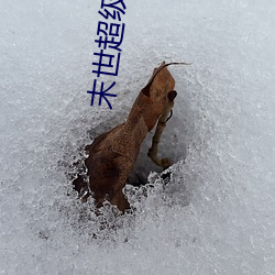 末世(世)超级商人