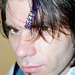 新红楼梦在线观看第1一10 （挖空心思��