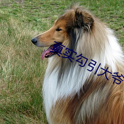 九游会登录j9入口 - 中国官方网站 | 真人游戏第一品牌