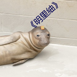 《明(明)里紬》