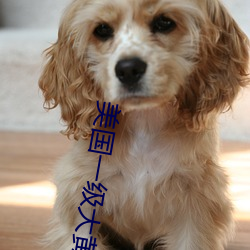 美国一(yī)级大(dà)黄香(xi¨¡ng)蕉片
