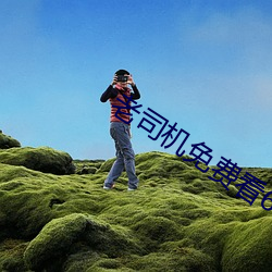 老司机免费看6171