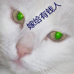 嫁给有(yǒu)钱人(rén)