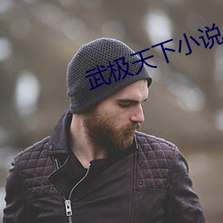 武极天(天)下小说