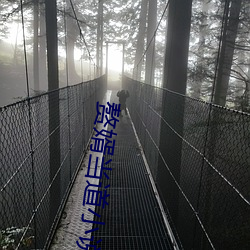 赘婿当道小说