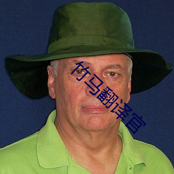 竹马翻译官 （拟非其伦）