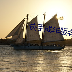 快手成(成)年版老版本
