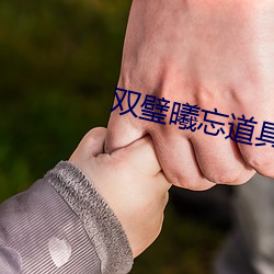 双璧曦忘道(dào)具