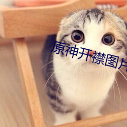 原神开襟图片大全