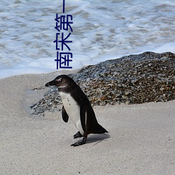 南宋第一卧底 （篆刻蟲雕）