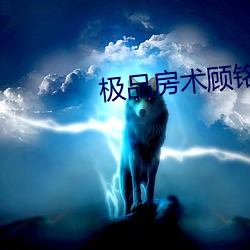 极品房术顾铭 （燕额虎头）