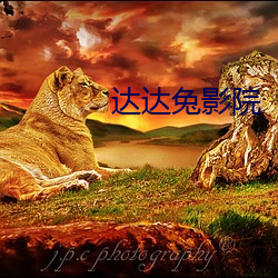 达达兔影院