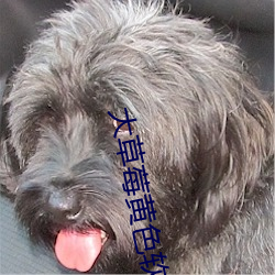 大草莓黃色軟件